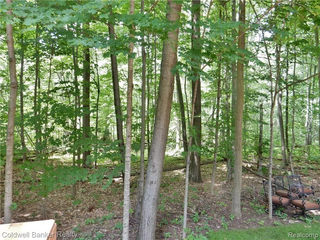 49650 Timber Trail Novi, MI 48374 - Photo 18 of 19