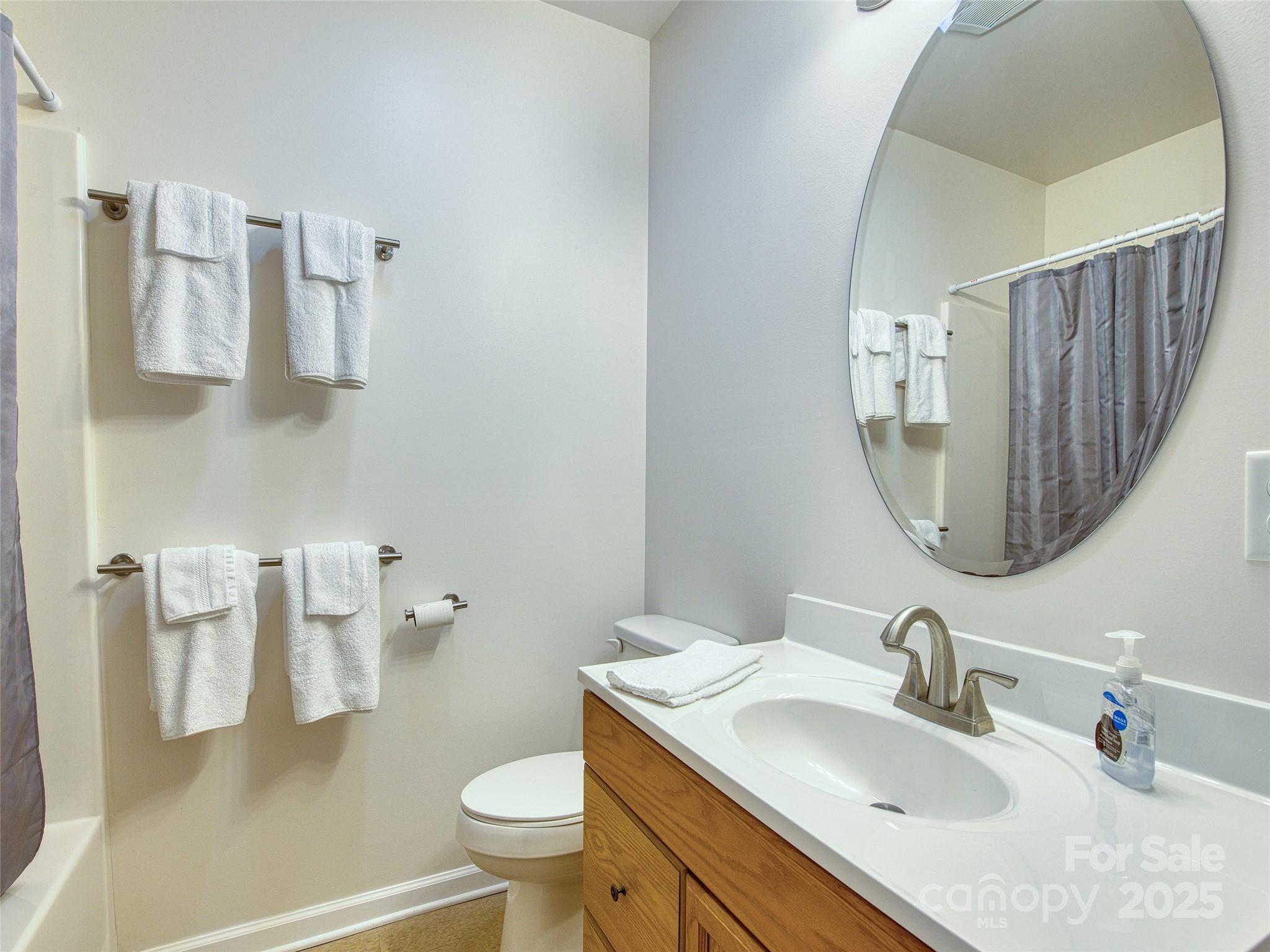 12 Lila Lane Leicester, NC 28748 - Photo 22 of 33 a bathroom with a sink toilet and mirror