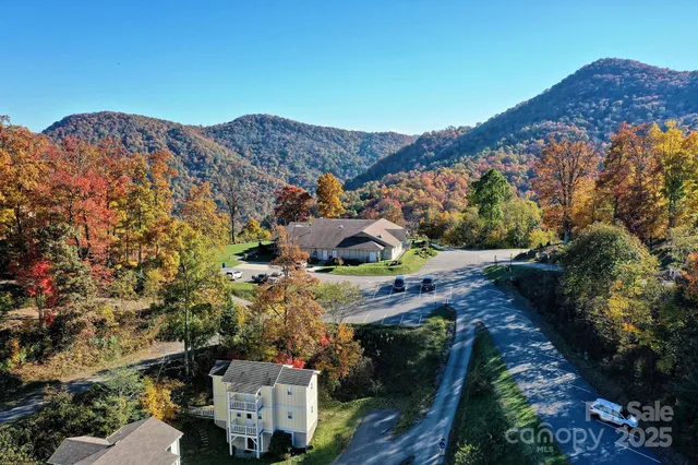 a view of a yard with a mountain