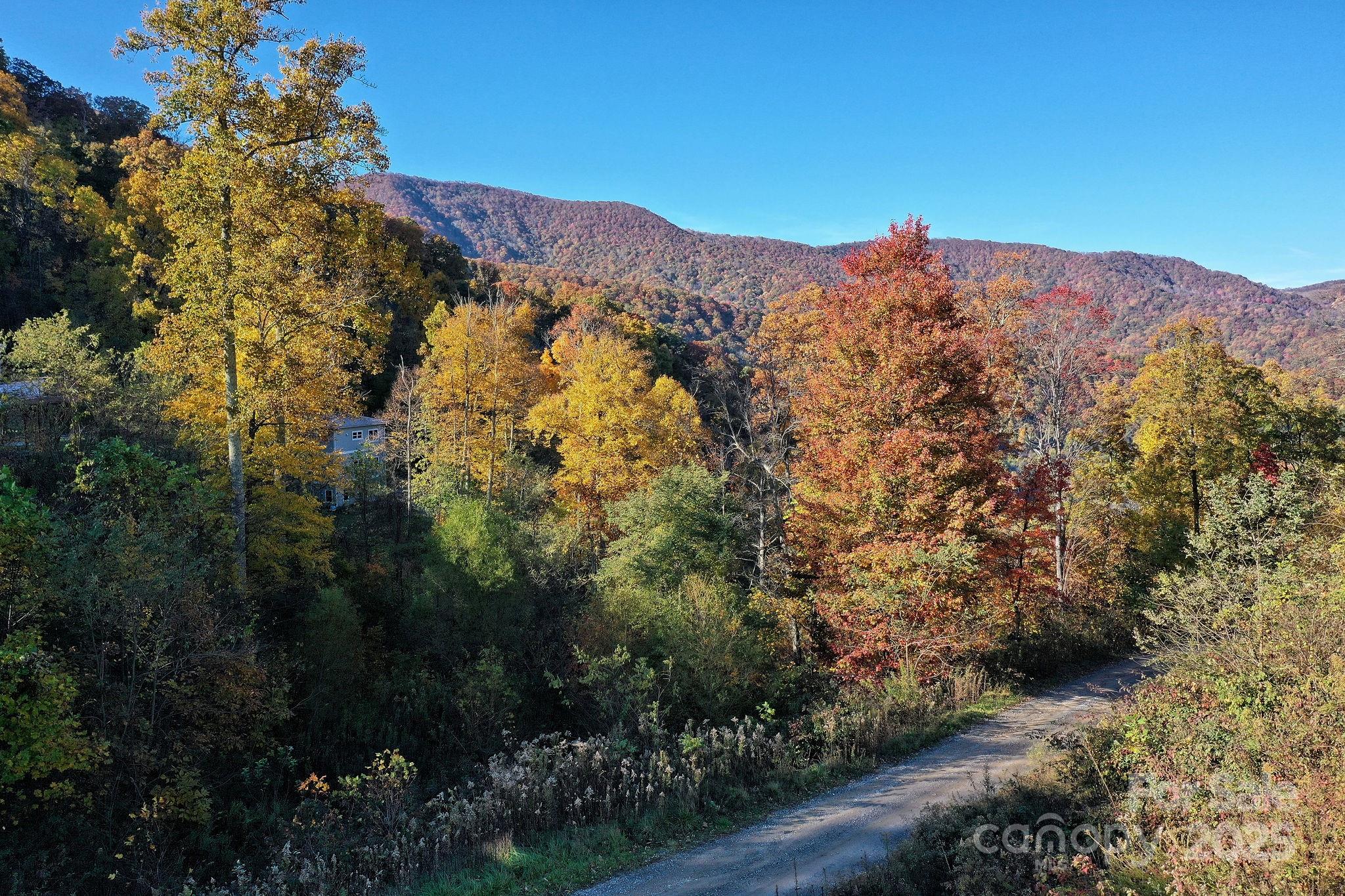 12 Lila Lane Leicester, NC 28748 - Photo 31 of 33 a view of a yard with a mountain