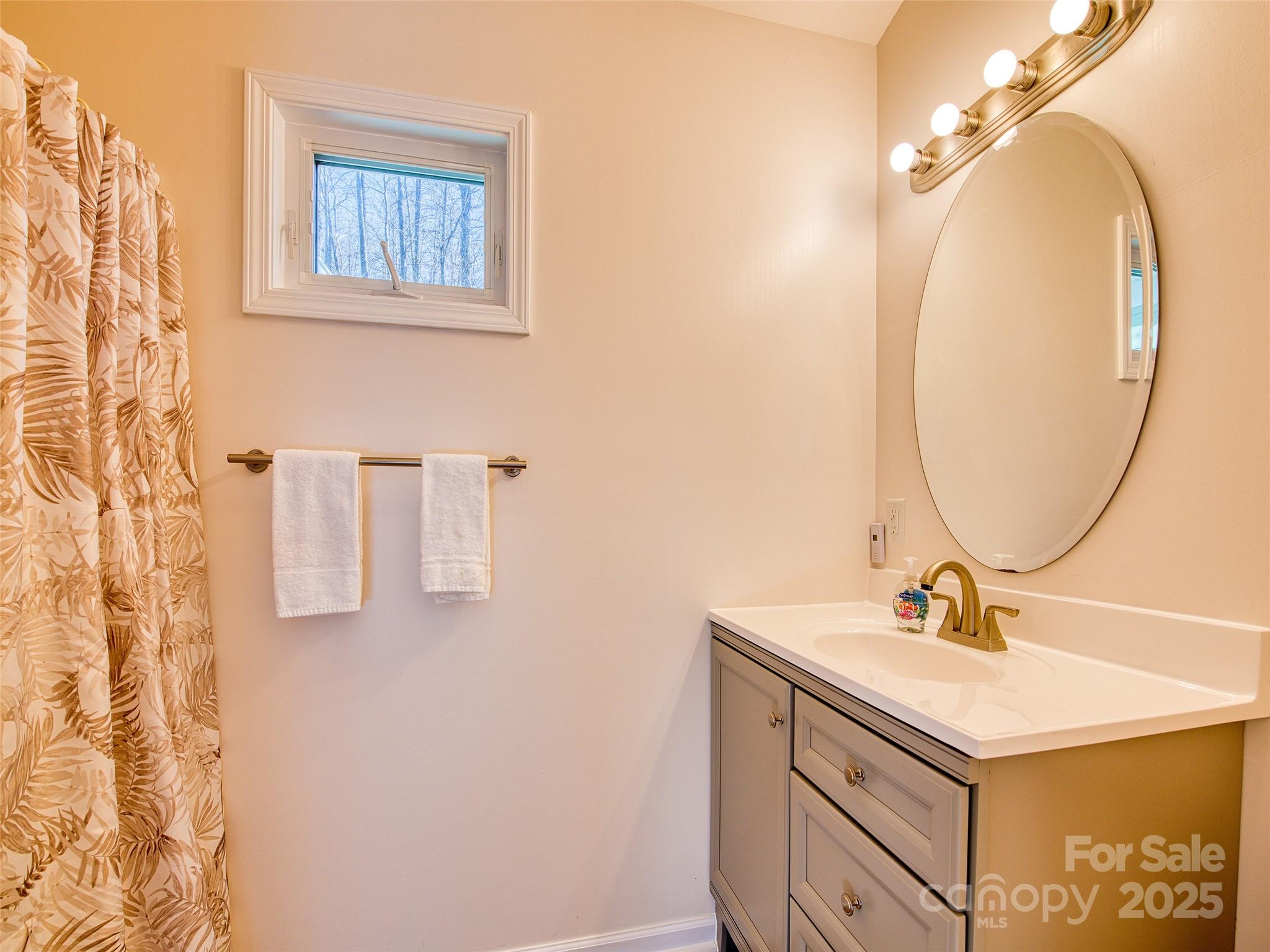 12 Lila Lane Leicester, NC 28748 - Photo 9 of 33 a bathroom with a sink vanity and a mirror