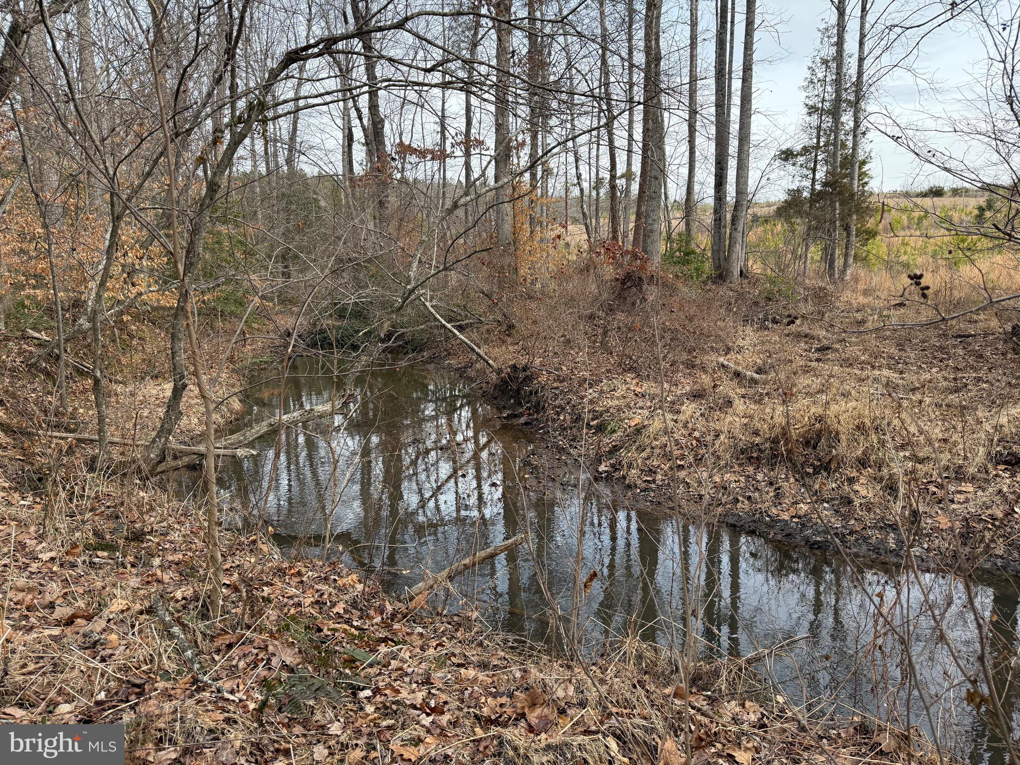 Tbd Community House Road Kents Store, VA 23084 - Photo 25 of 34