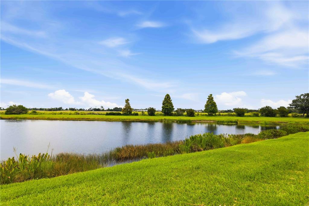 10920 79th Street East Parrish, FL 34219 - Photo 49 of 73 a view of a lake with houses in the back