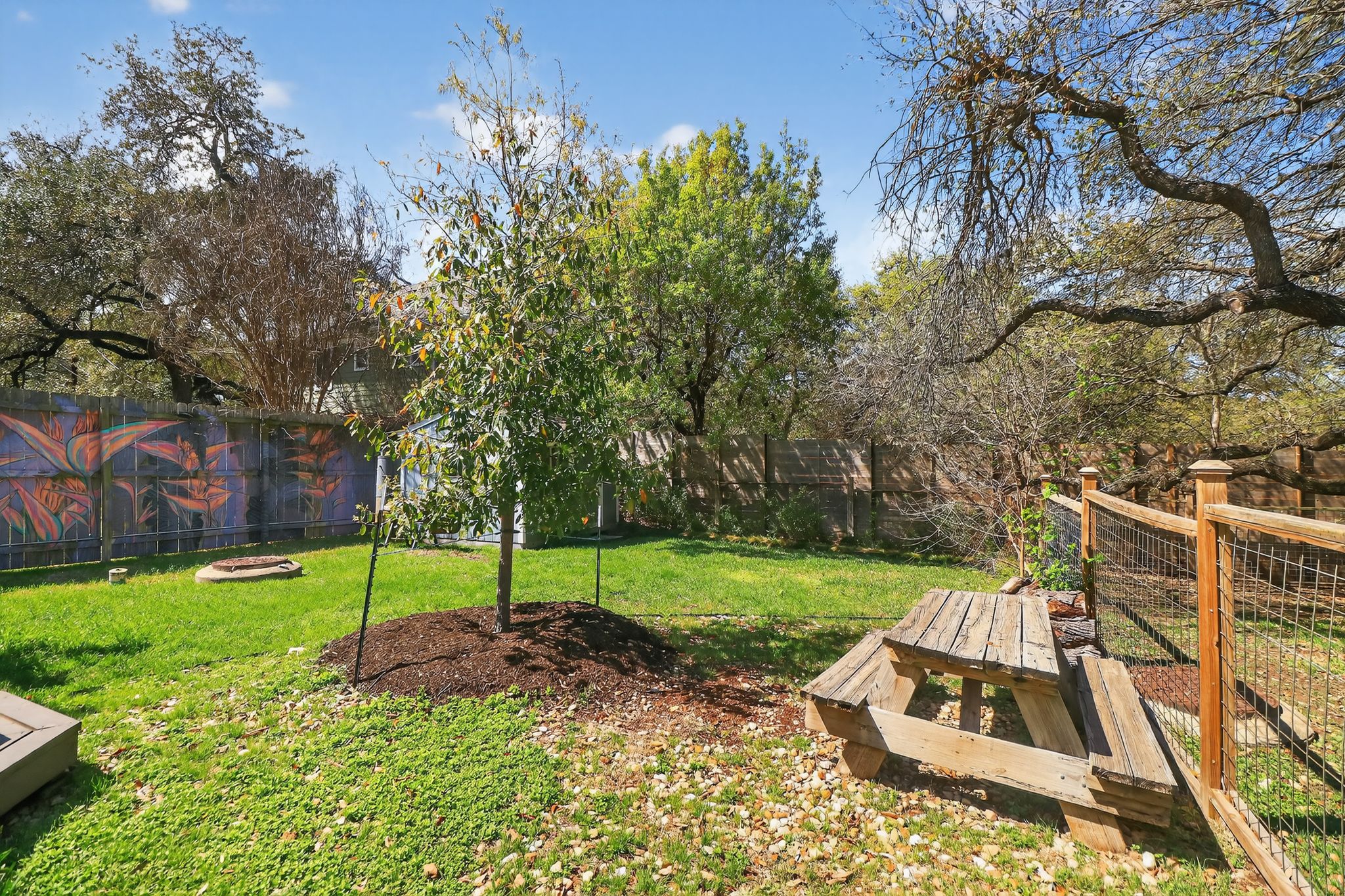 3614 South 2nd Street Austin, TX 78704 - Photo 38 of 40 a view of a chair and table in the garden