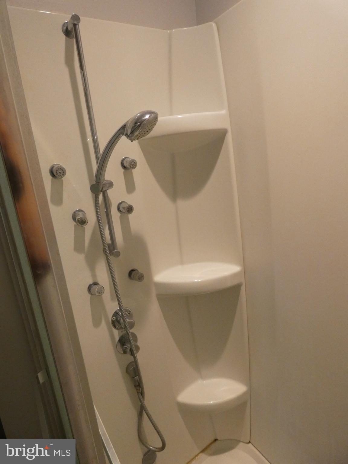 69-3 Azalea Way Reading, PA 19606 - Photo 11 of 16 Primary Bathroom with a remodeled shower.