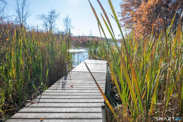 a view of a garden with pathway