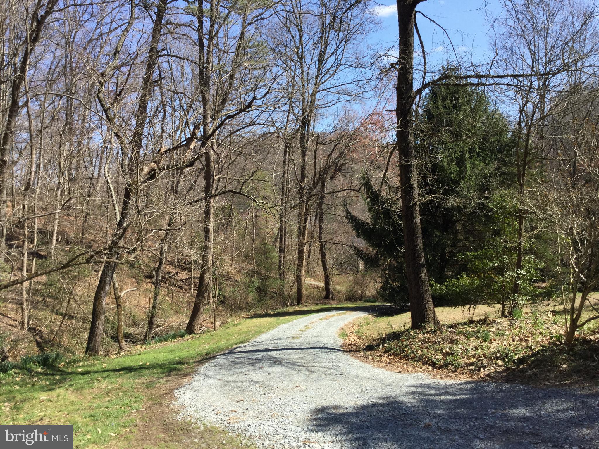 1740 Deep Run Road Whiteford, MD 21160 - Photo 4 of 27 Driveway
