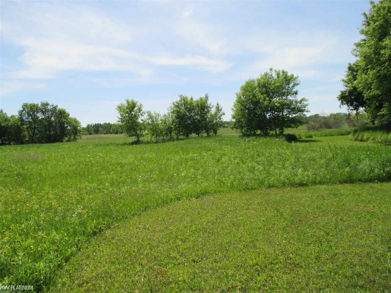 Parcel G State Road Fort Gratiot, MI 48059 - Photo 9 of 13