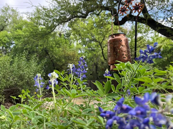 a picture of flowers