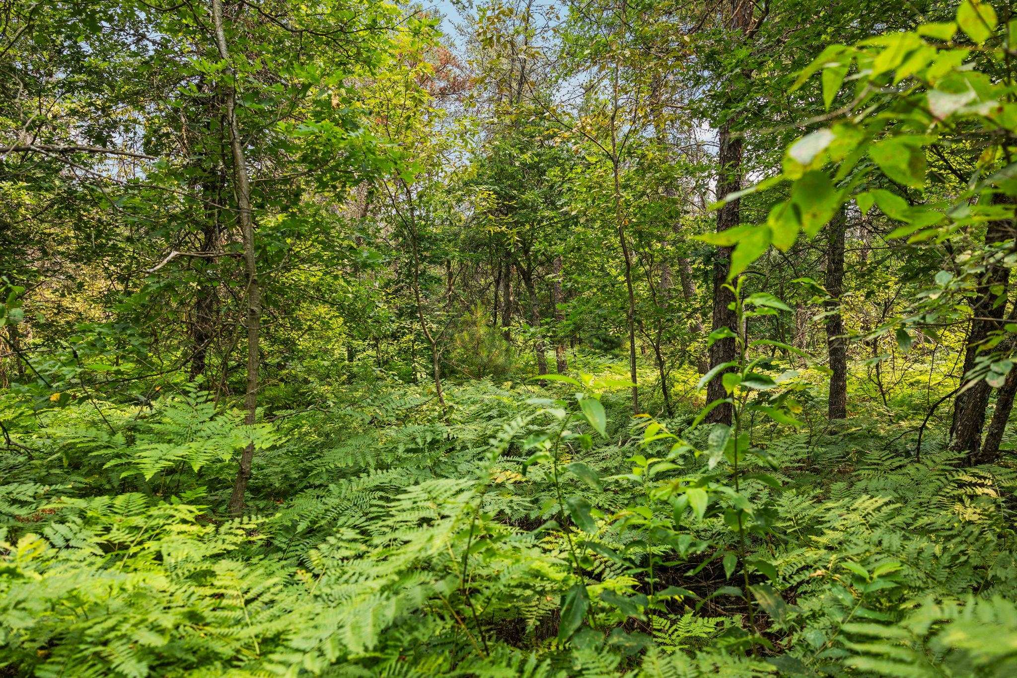 0 Ramsay Road Fife Lake, MI 49633 - Photo 3 of 16