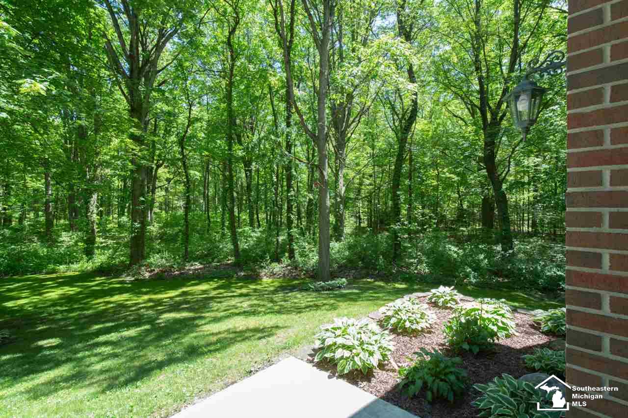 11853 Douglas Road Temperance, MI 48182 - Photo 2 of 30