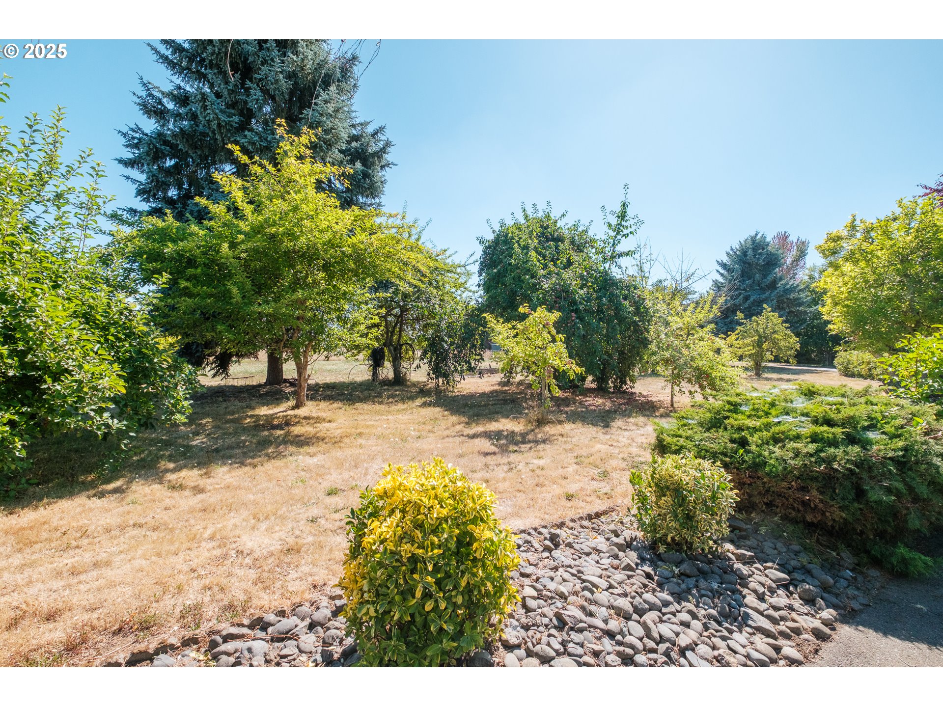 2225 Molalla Road Woodburn, OR 97071 - Photo 13 of 48 a view of a yard with plants and trees