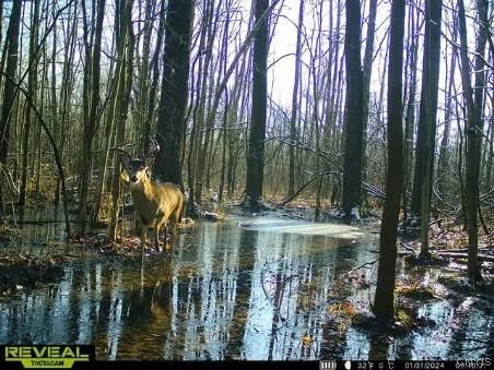 East Lee Road Albion, NY 14411 - Photo 9 of 20 Gallery Image 9