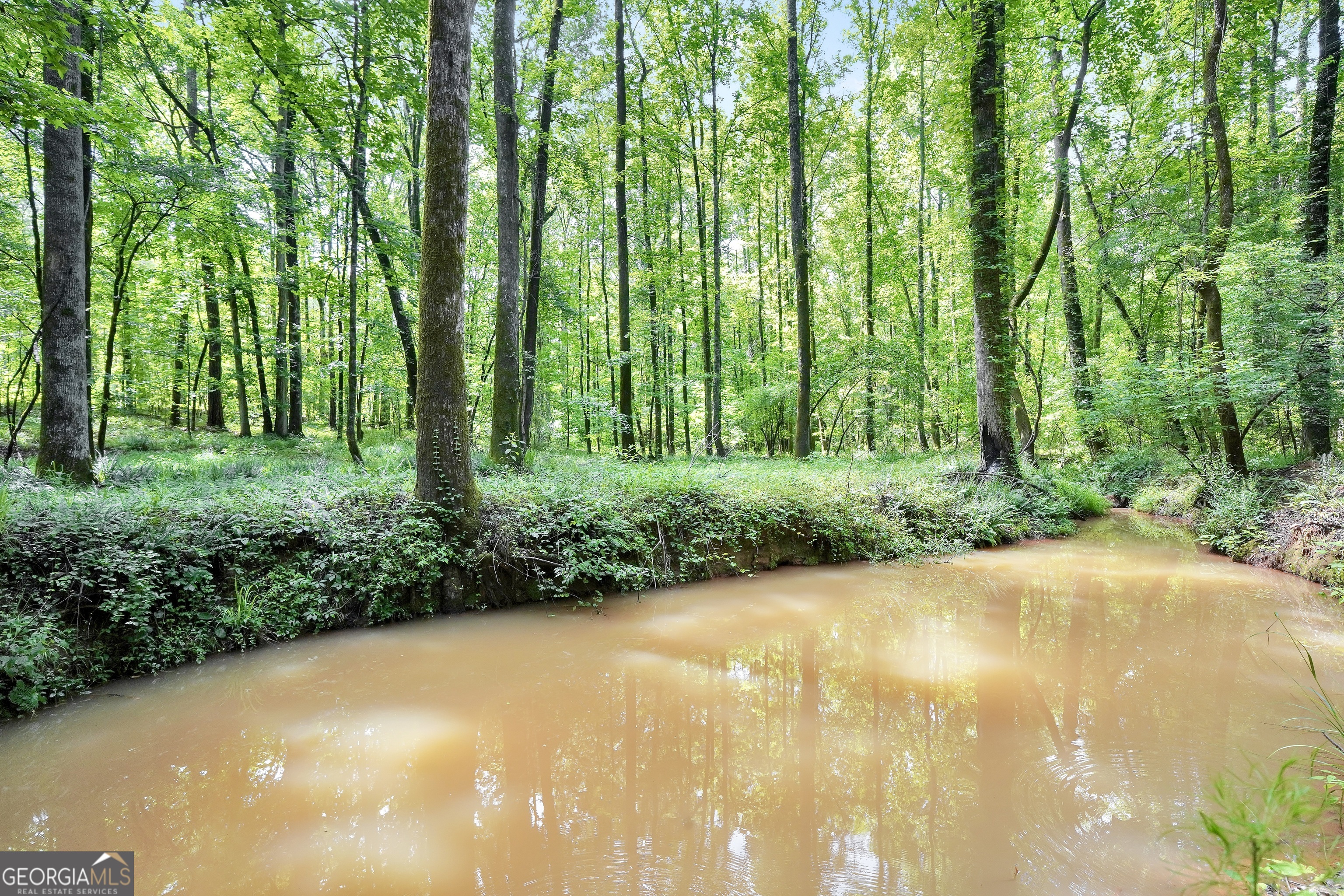 5700 Goolsby Road Monticello, GA 31064 - Photo 19 of 110