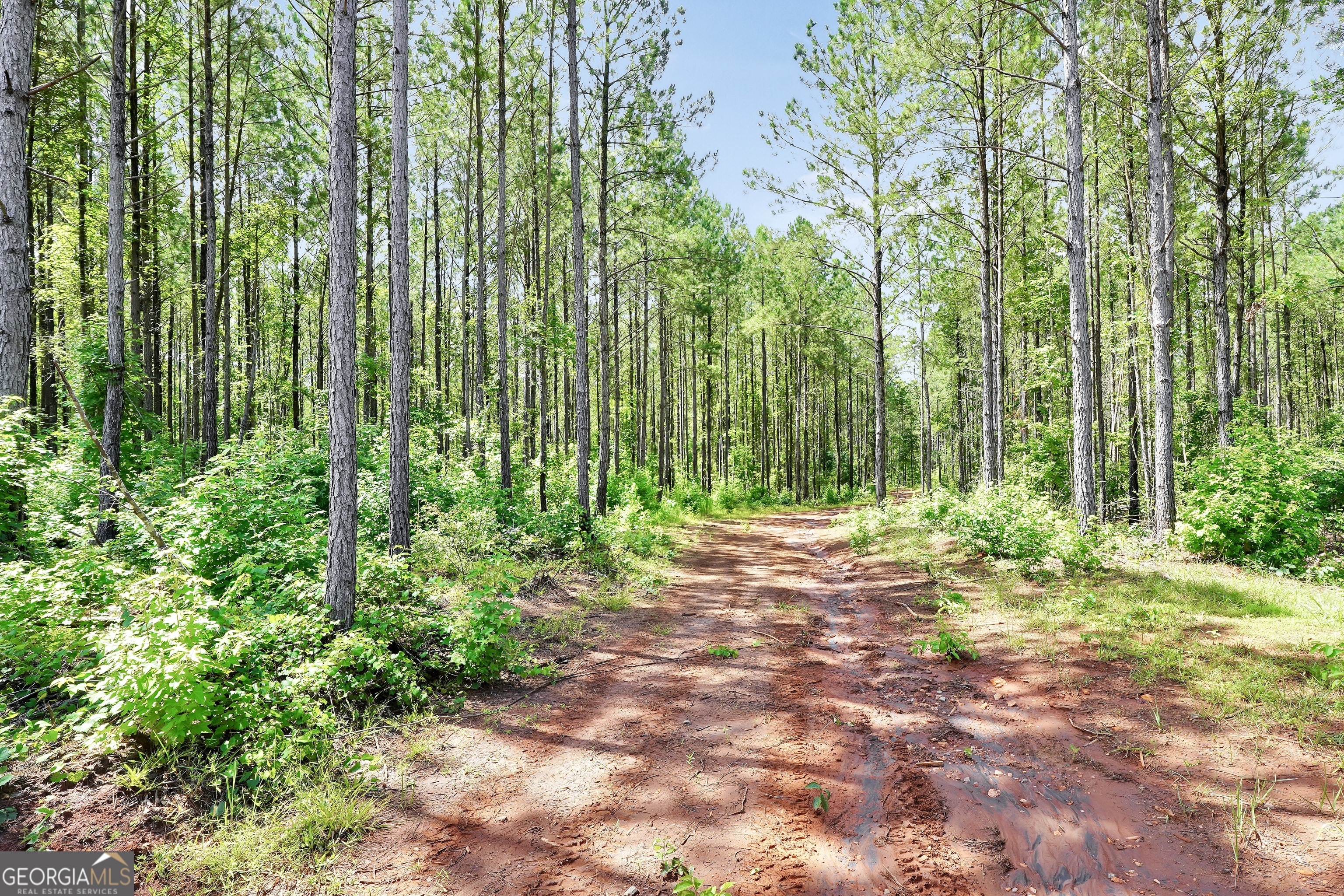5700 Goolsby Road Monticello, GA 31064 - Photo 20 of 110