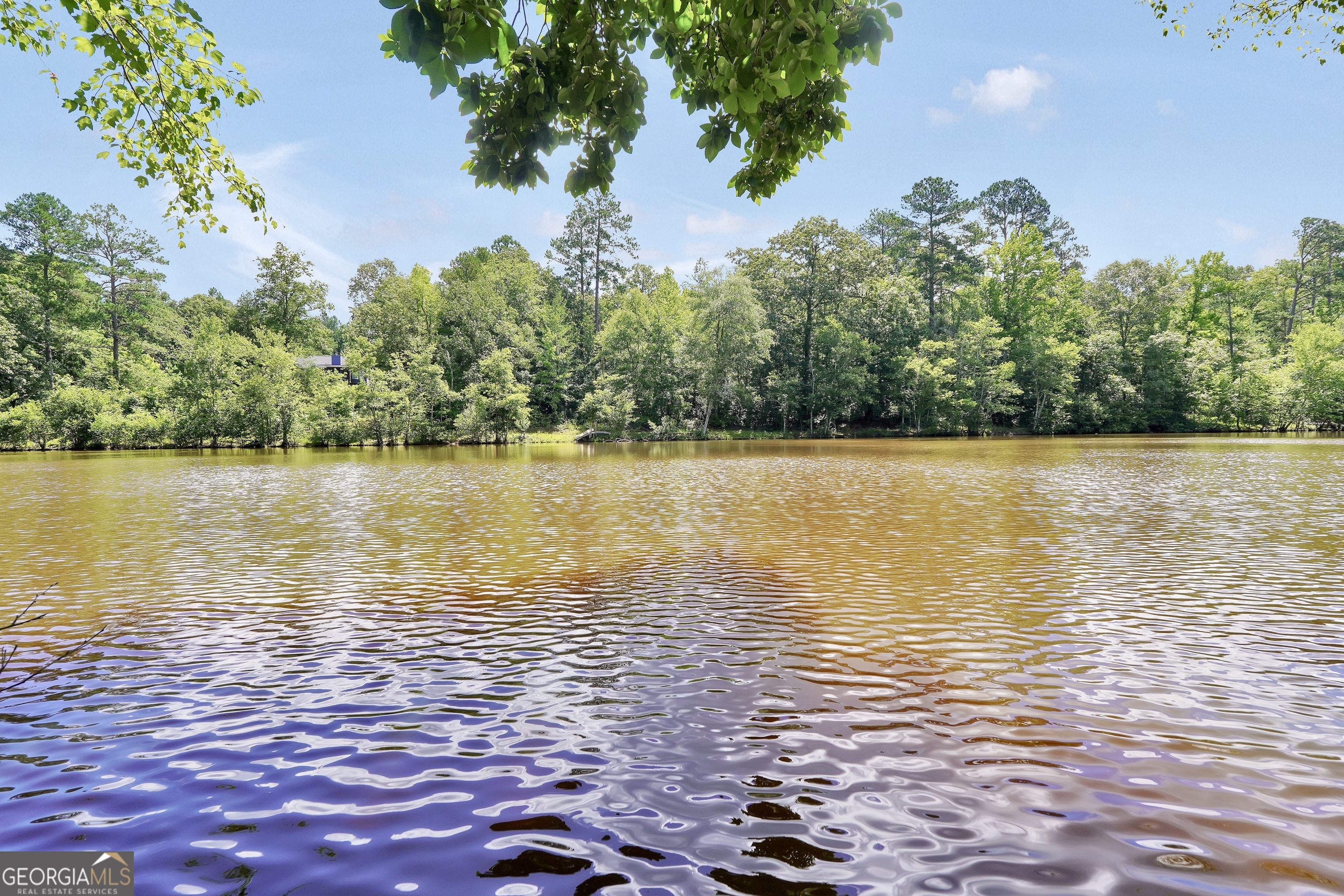 5700 Goolsby Road Monticello, GA 31064 - Photo 21 of 110