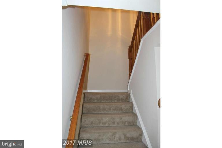 24656 Nettle Mill Square Stone Ridge, VA 20105 - Photo 13 of 22 Interior (General)