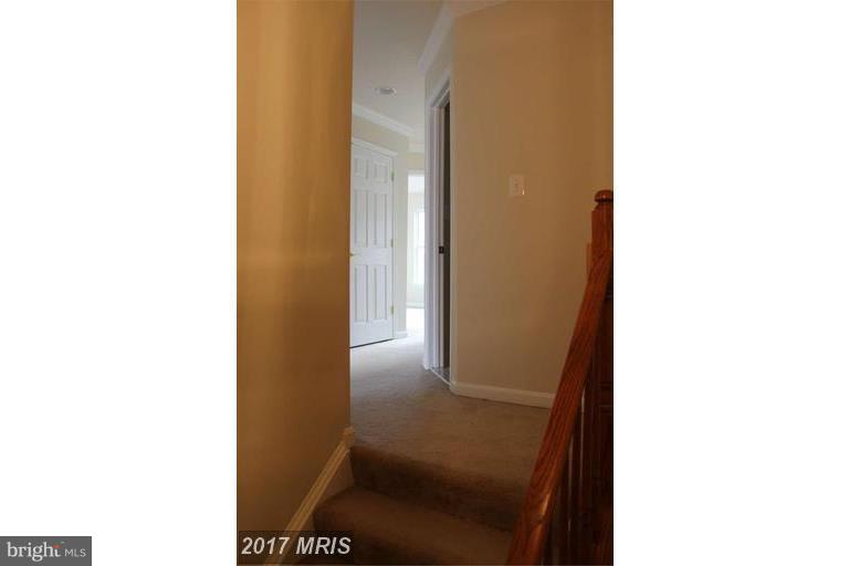 24656 Nettle Mill Square Stone Ridge, VA 20105 - Photo 14 of 22 Interior (General)