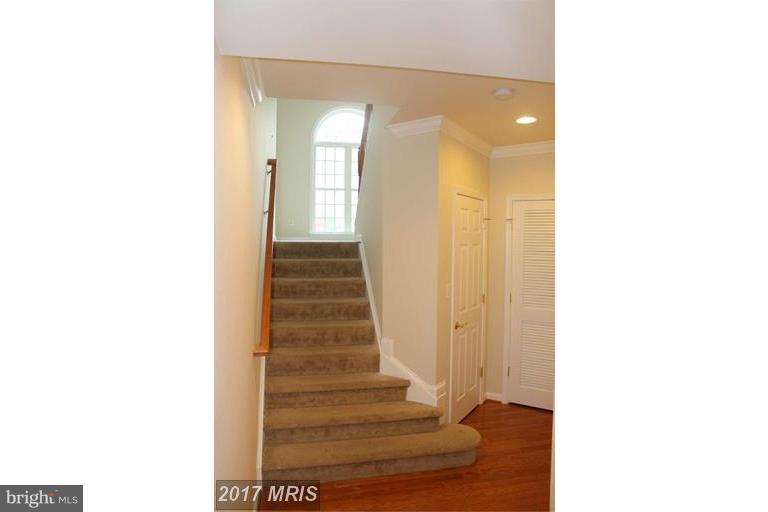 24656 Nettle Mill Square Stone Ridge, VA 20105 - Photo 3 of 22 Interior (General)