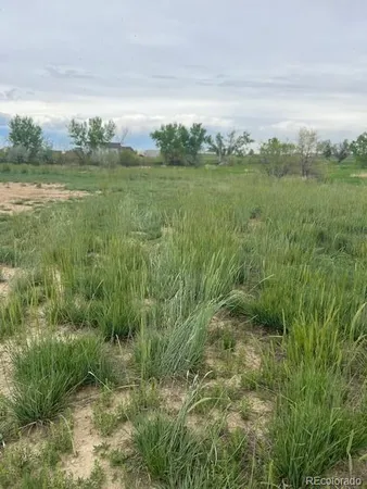 $415,000 | 3233 County Road 19, Brighton, CO 80603