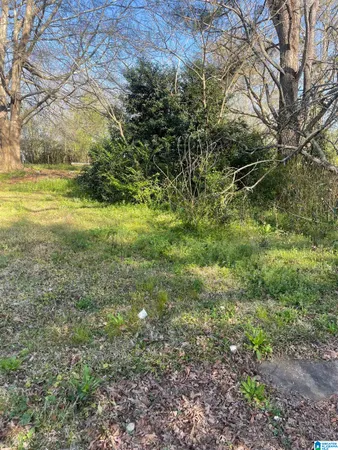 $3,000 | 0 West Avenue, Unit 1, Roanoke, AL 36274