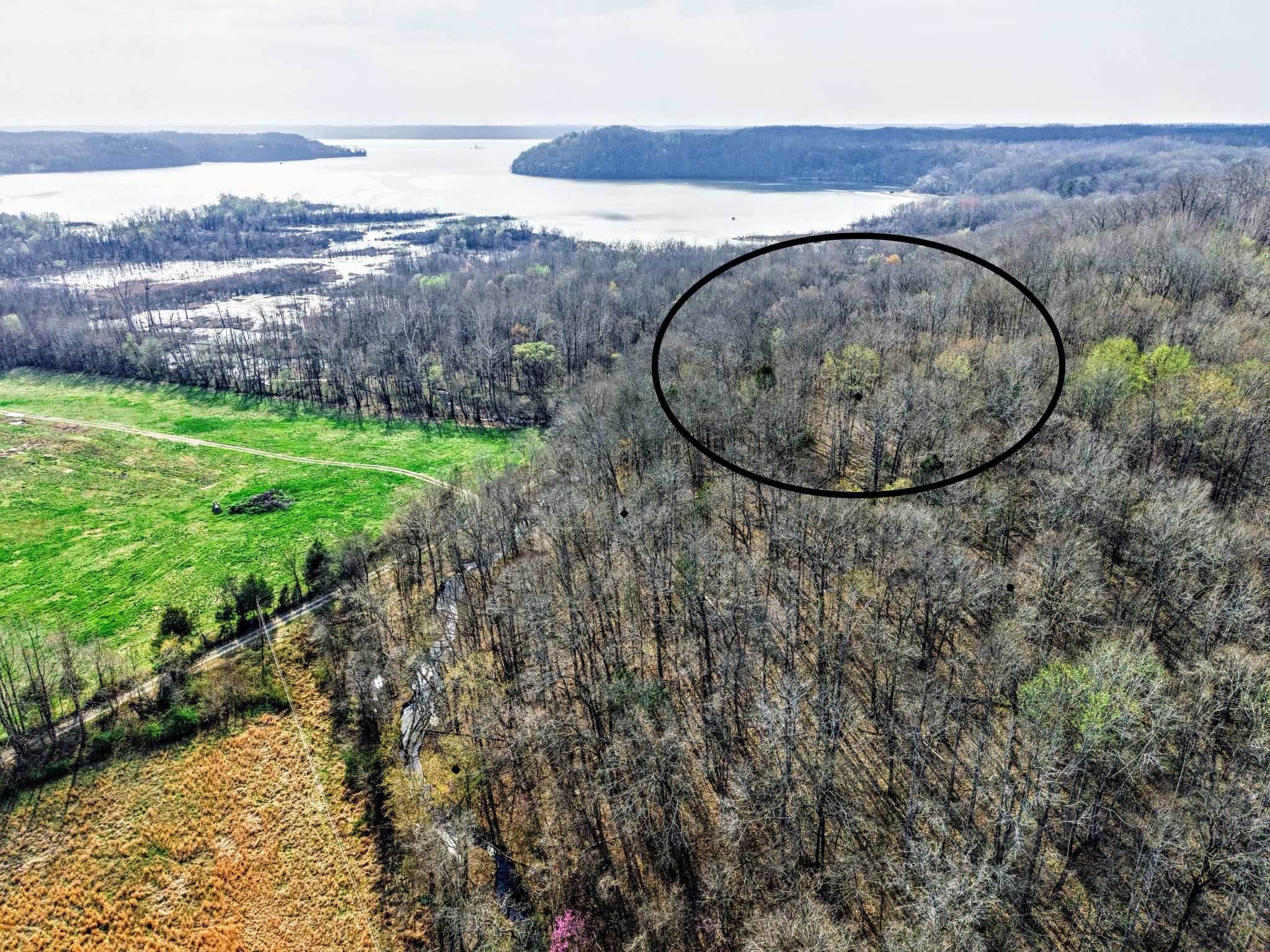 0 Douglas Bluff Road Stewart, TN 37175 - Photo 5 of 7