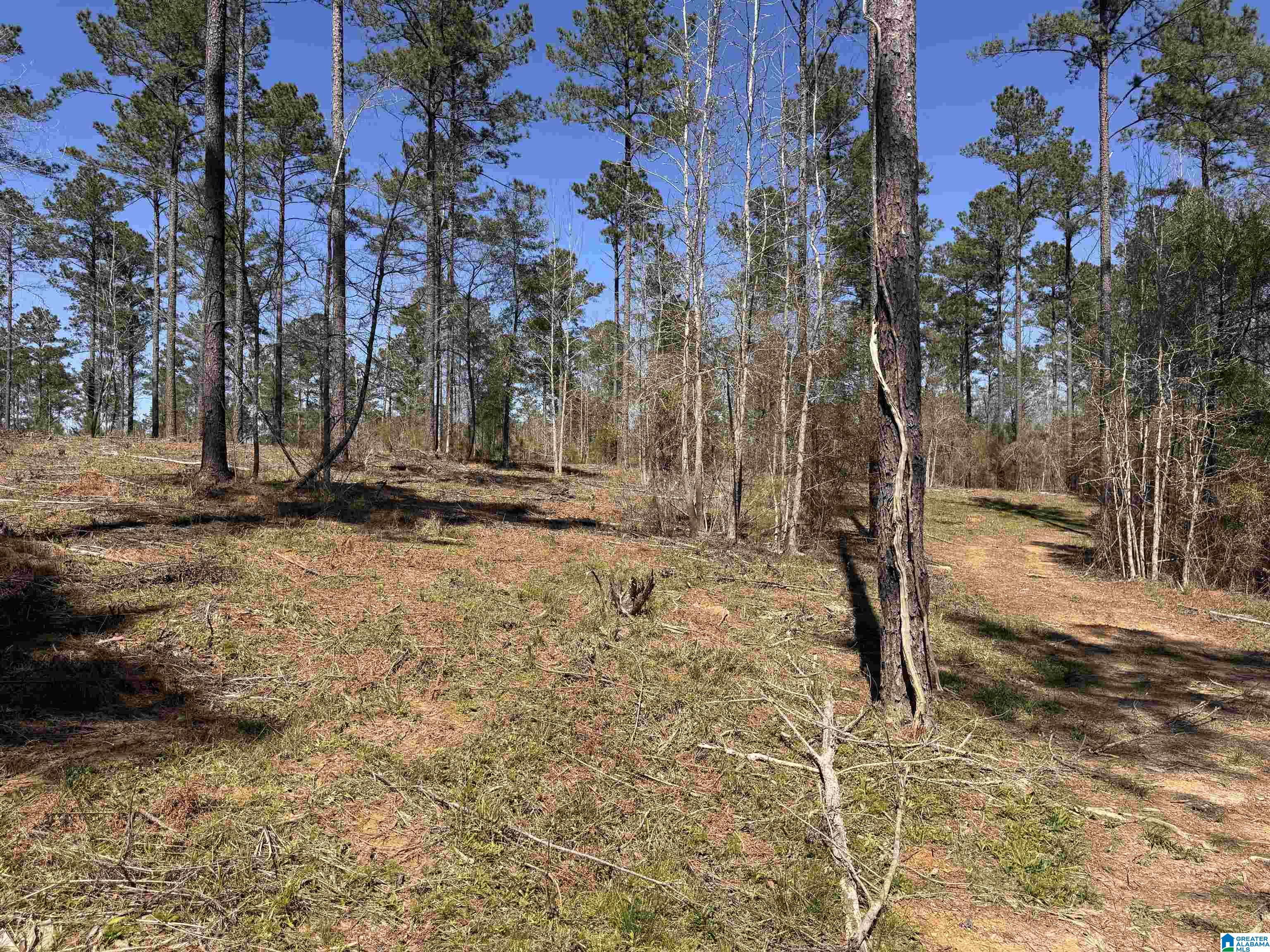 0 Finnell Road Northport, AL 35475 - Photo 2 of 6