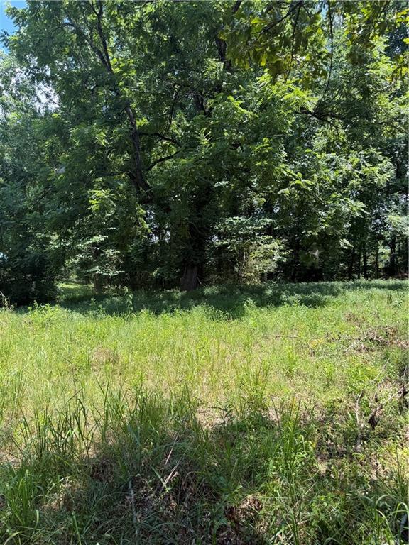 217 Bagwell Garland Road Canton, GA 30115 - Photo 9 of 14