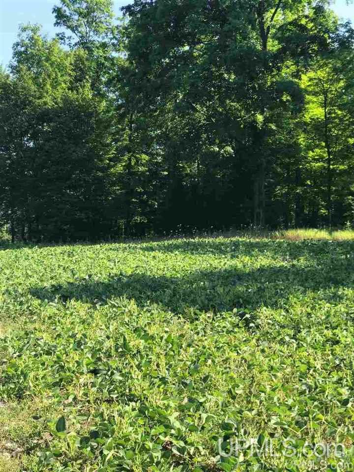 5772 34 Rd Lane Nadeau, MI 49863 - Photo 9 of 18 Gallery Image 9