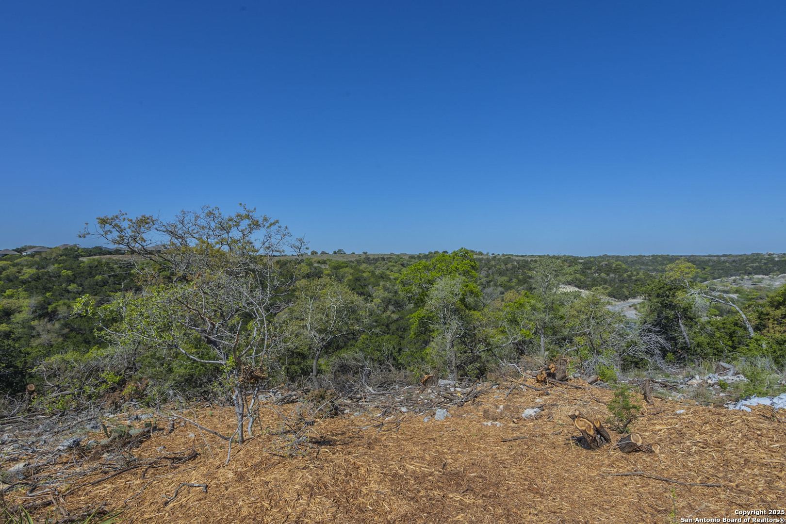 132 Paradise Point Boerne, TX 78006 - Photo 5 of 15