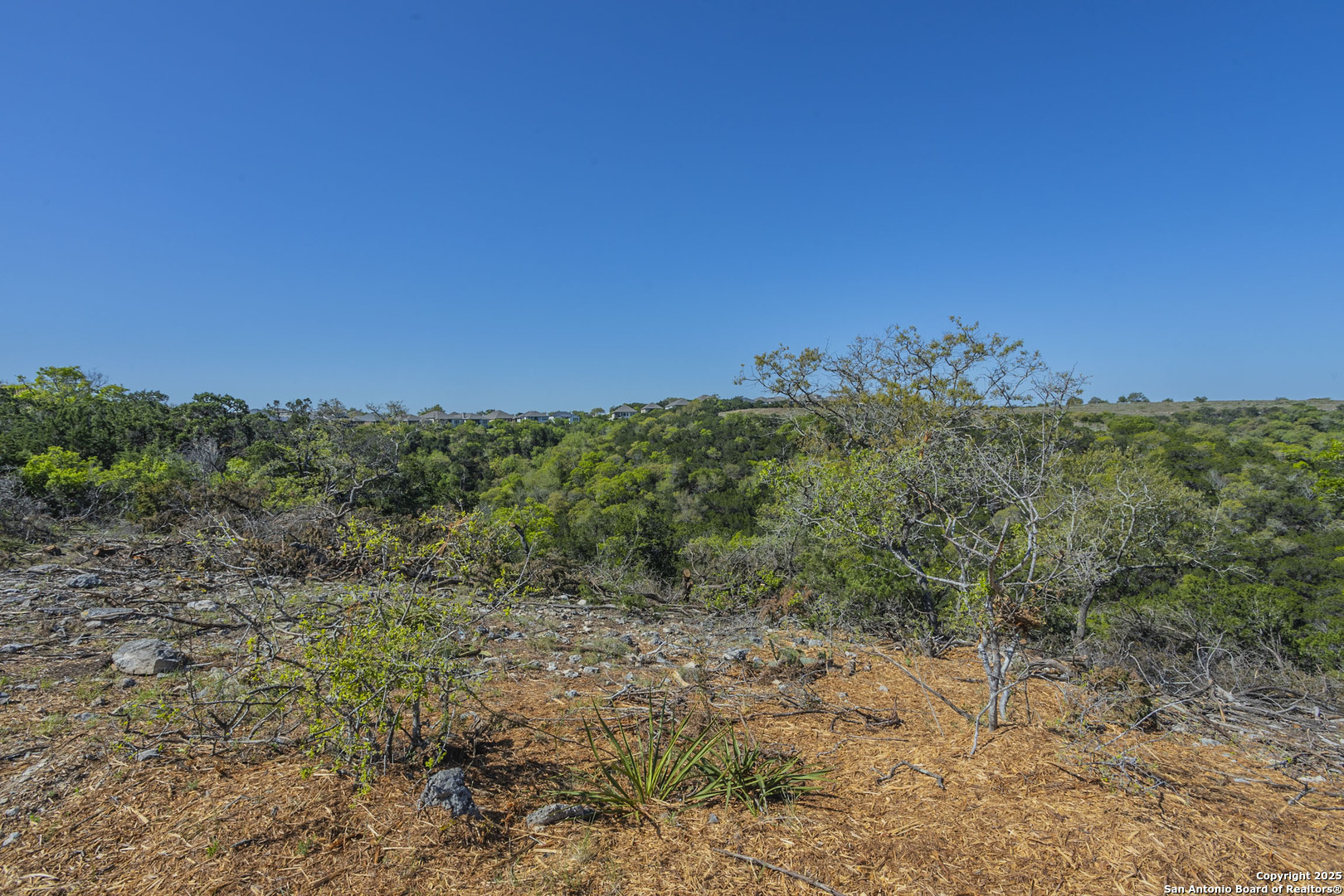 132 Paradise Point Boerne, TX 78006 - Photo 6 of 15