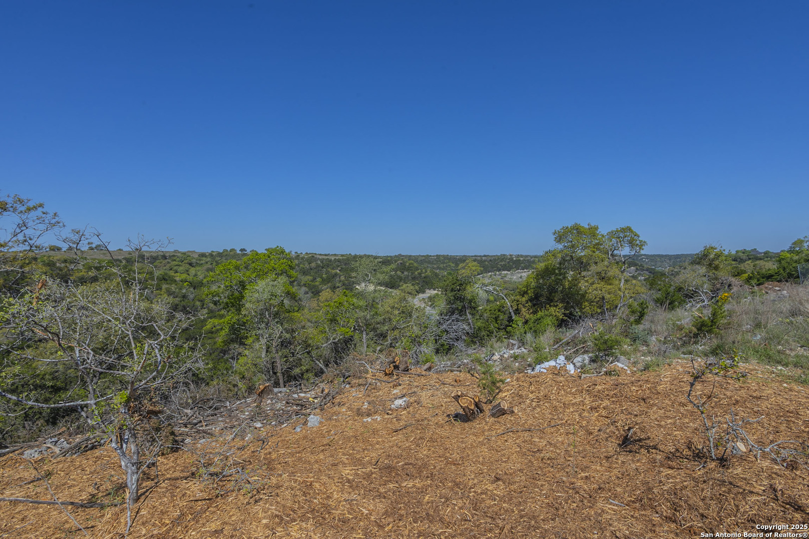 132 Paradise Point Boerne, TX 78006 - Photo 7 of 15