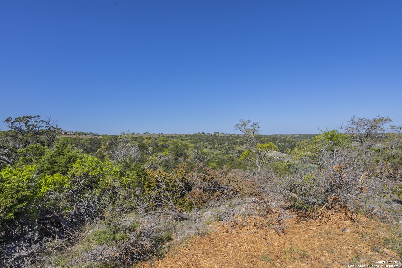 132 Paradise Point Boerne, TX 78006 - Photo 8 of 15