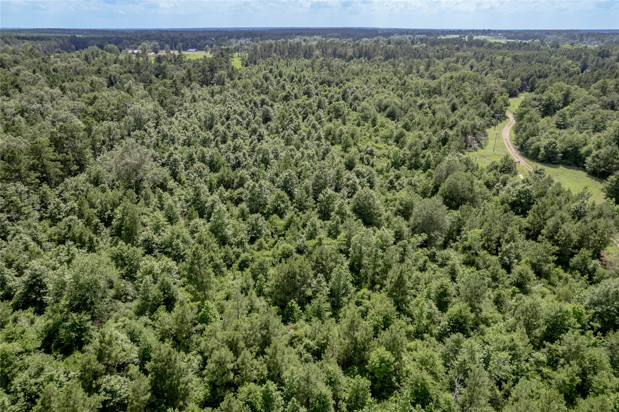Na Gaston Road Apple Springs, TX 75926 - Photo 2 of 12