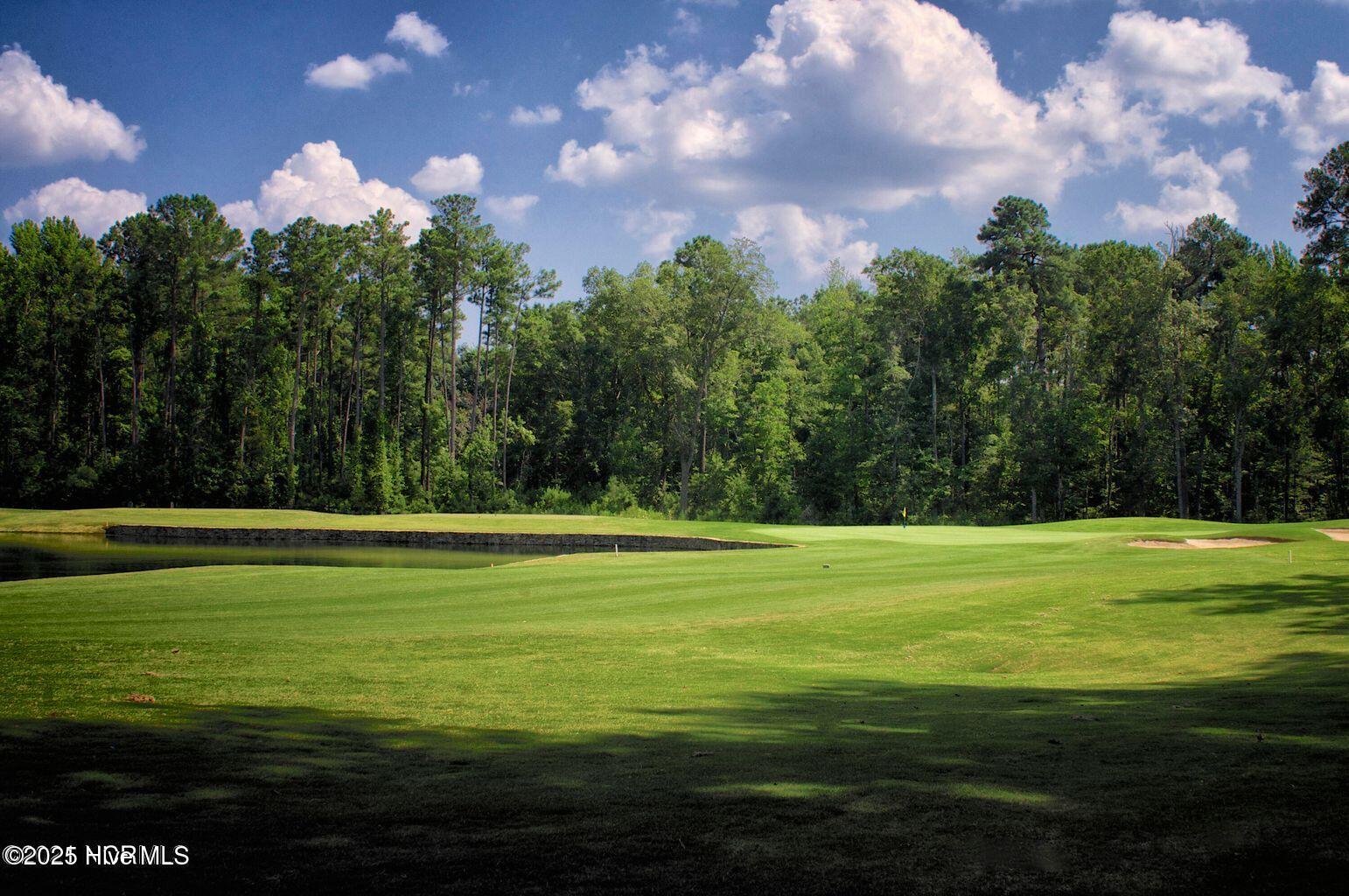 137 Tralee Rocky Mount, NC 27804 - Photo 8 of 26 Golf