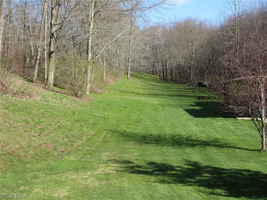 23100 Ridge Road Minerva, OH 44657 - Photo 20 of 21 Gallery Image 20