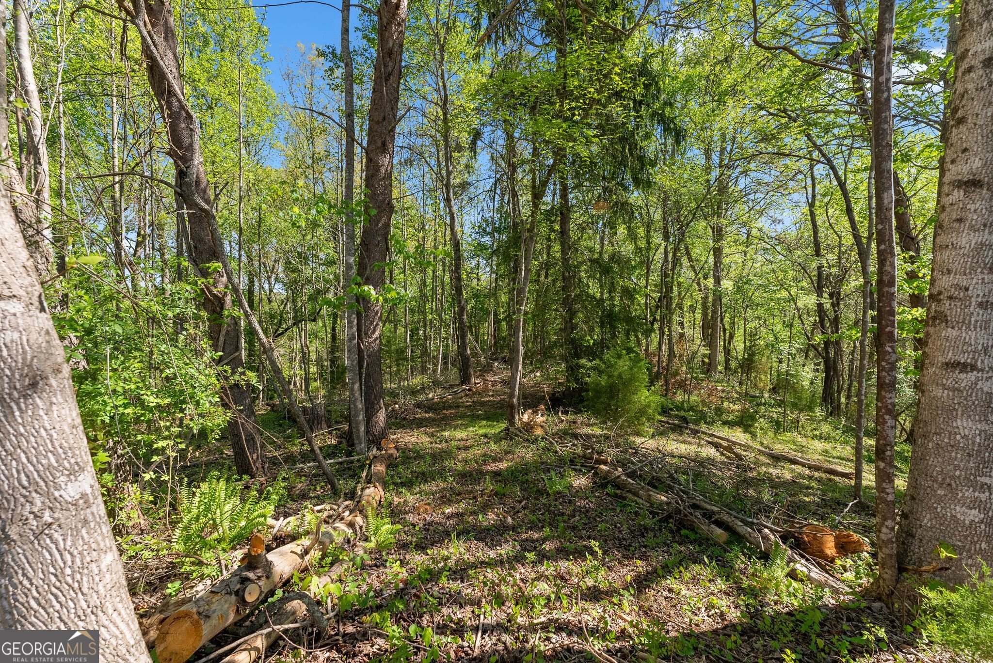 153 Trackrock Gap Road Blairsville, GA 30512 - Photo 50 of 74