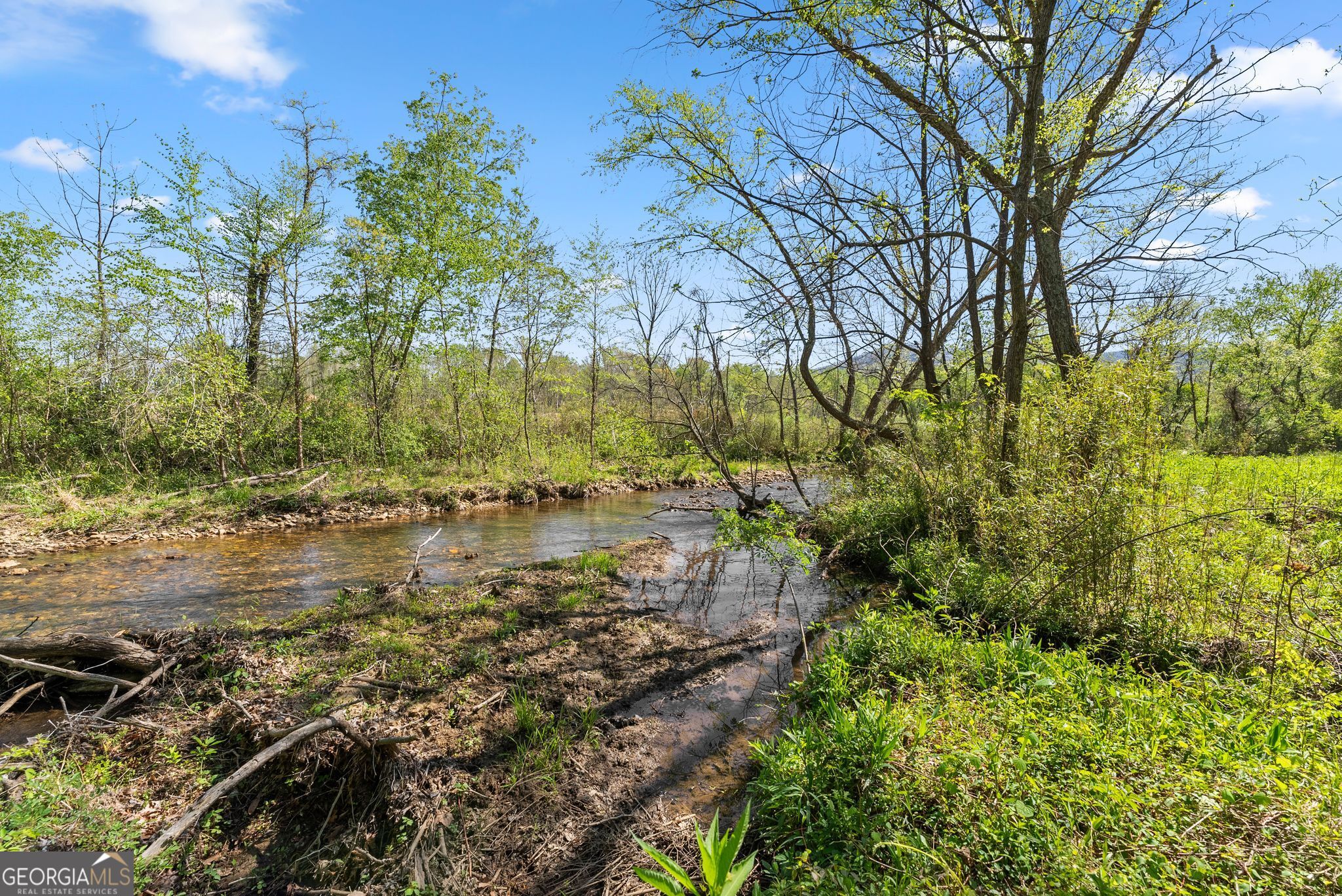 153 Trackrock Gap Road Blairsville, GA 30512 - Photo 51 of 74