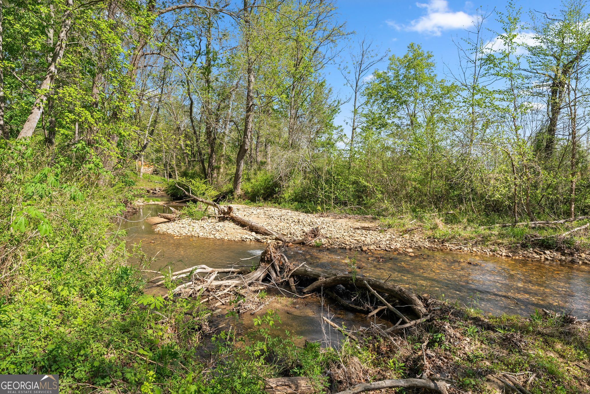 153 Trackrock Gap Road Blairsville, GA 30512 - Photo 52 of 74