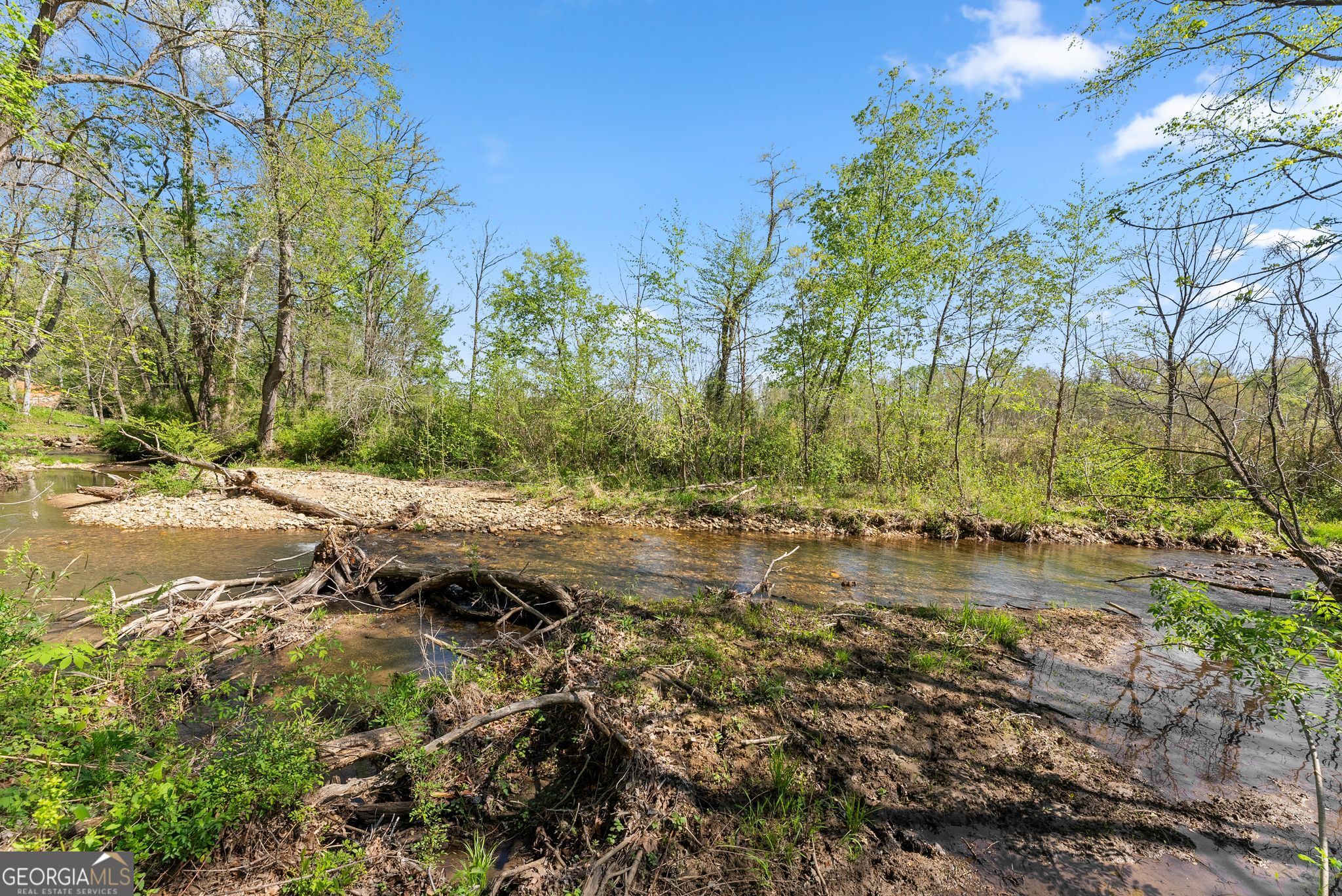153 Trackrock Gap Road Blairsville, GA 30512 - Photo 53 of 74