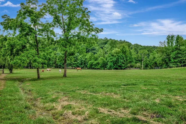 $530,000 | 80 Latimer Cemetery Lane, Waverly, TN 37185