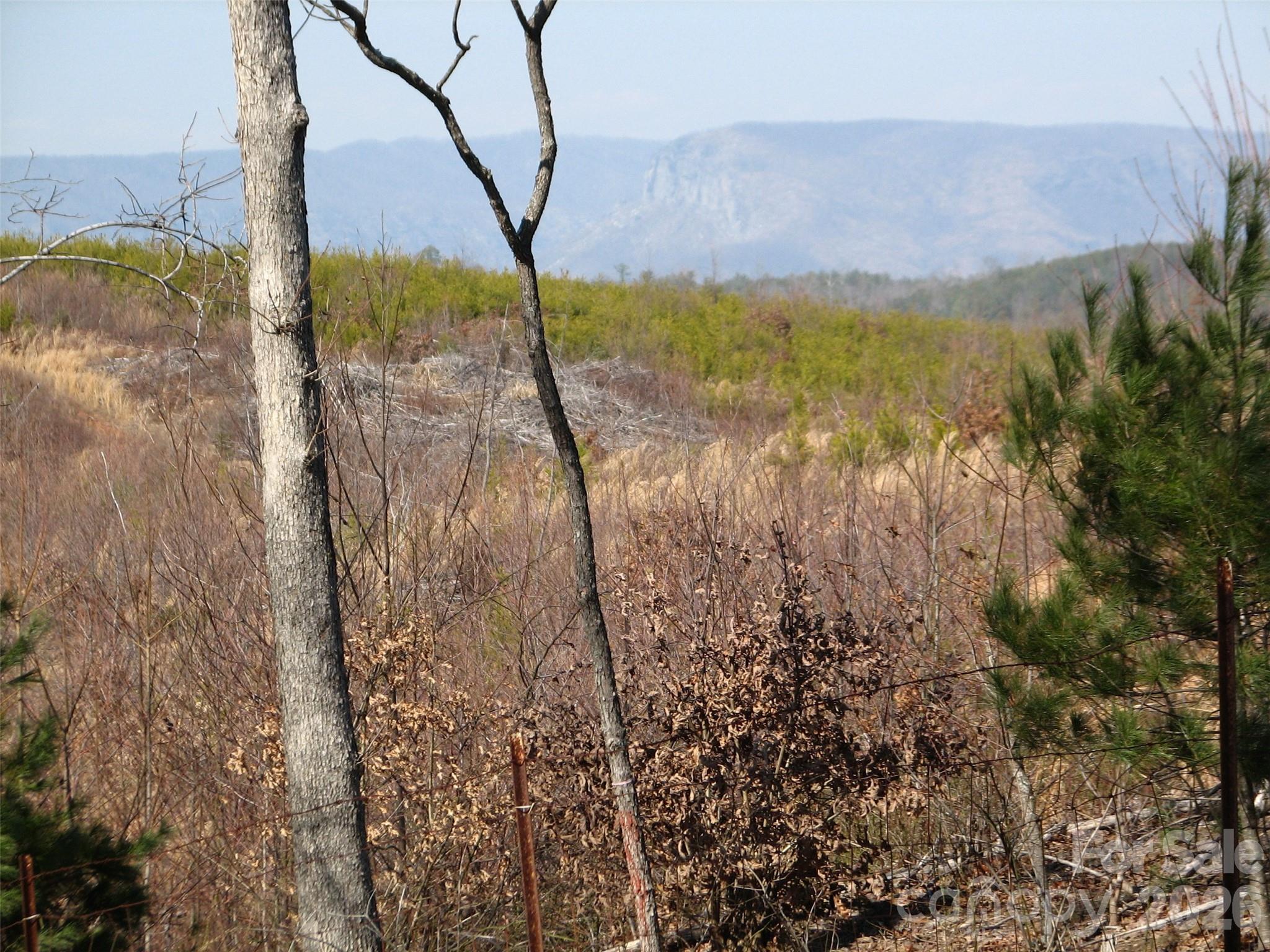 0 Meditation Rdg Dr Extension, Unit 21 22 Nebo, NC 28761 - Photo 5 of 8 a view of a lake with a mountain in the background
