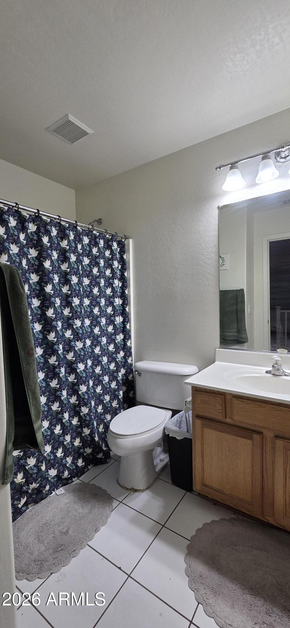 10766 West Del Rio Lane Avondale, AZ 85323 - Photo 7 of 12 a bathroom with a sink toilet and mirror