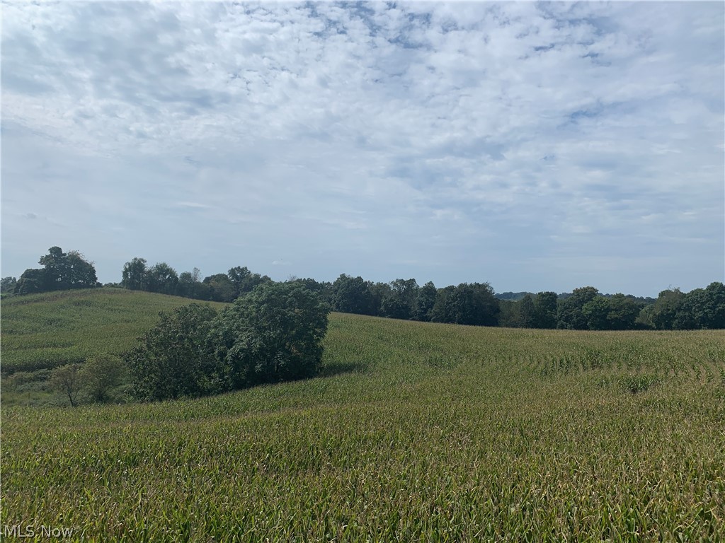 Deibel Road Southwest Stone Creek, OH 43840 - Photo 27 of 35 Gallery Image 27
