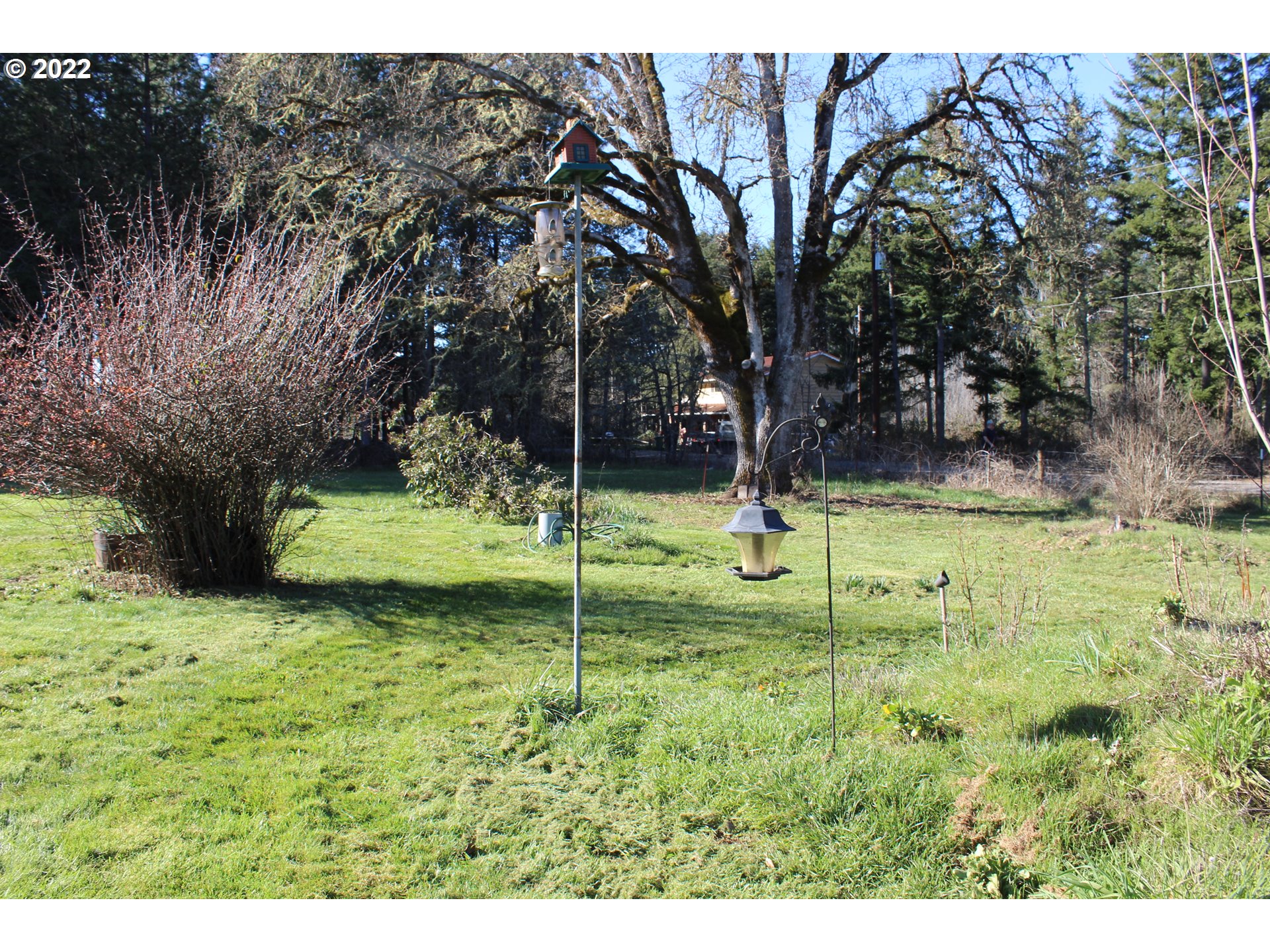 31982 Hull Road Cottage Grove, OR 97424 - Photo 9 of 22 Gallery Image 9
