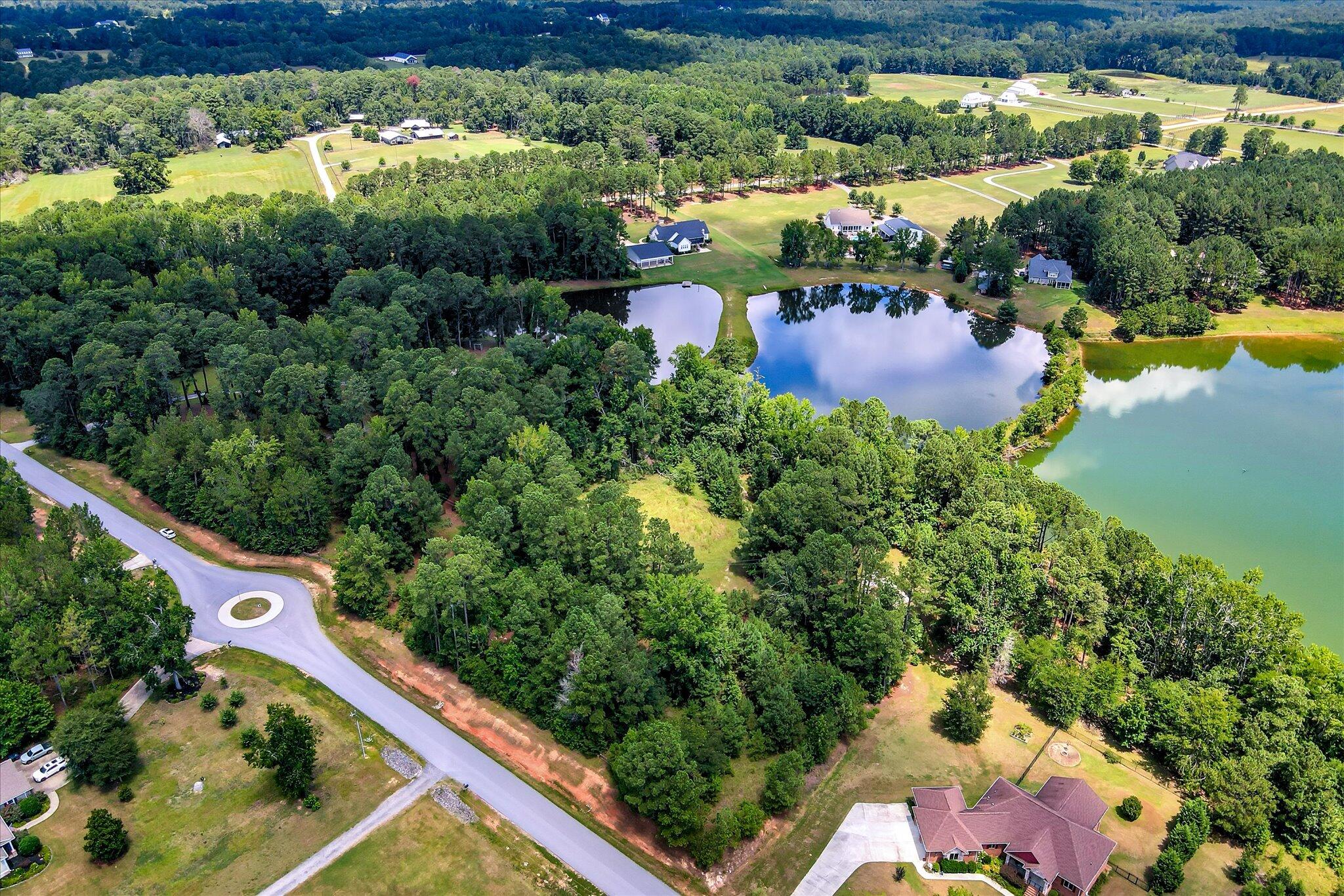 340 Arthur Grimaud Way Appling, GA 30802 - Photo 3 of 13 Premium Estate Lot Columbia County Appli