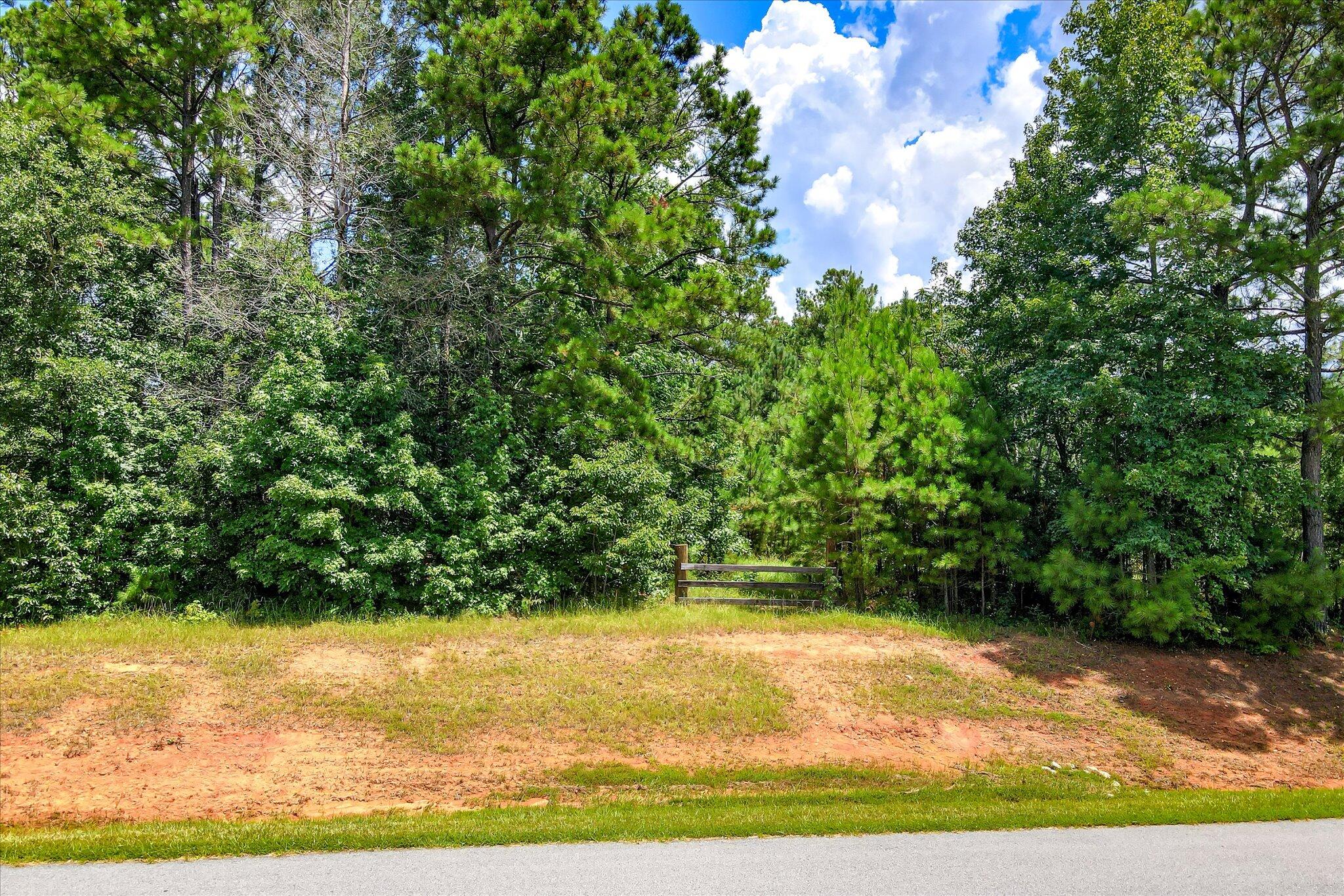 340 Arthur Grimaud Way Appling, GA 30802 - Photo 4 of 13 Premium Estate Lot Columbia County Appli