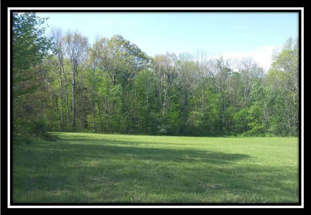 9239 East Branch Church Road Malta, OH 43758 - Photo 2 of 9