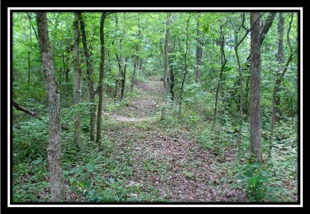 9239 East Branch Church Road Malta, OH 43758 - Photo 3 of 9