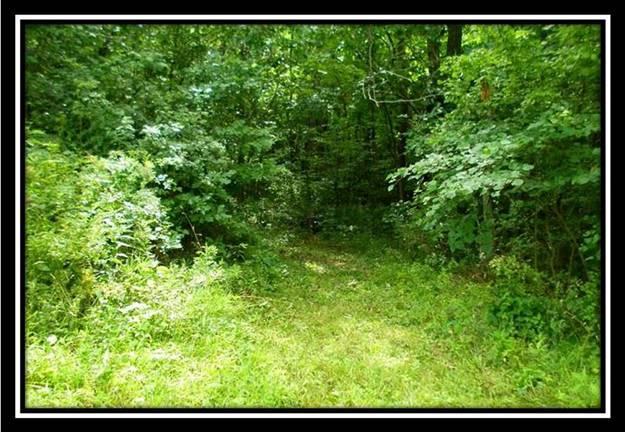 9239 East Branch Church Road Malta, OH 43758 - Photo 5 of 9